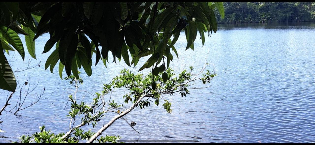 Cabinas Tortuguero Sports Fishing Exterior foto